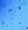Quantachrome Instruments new article (full title 