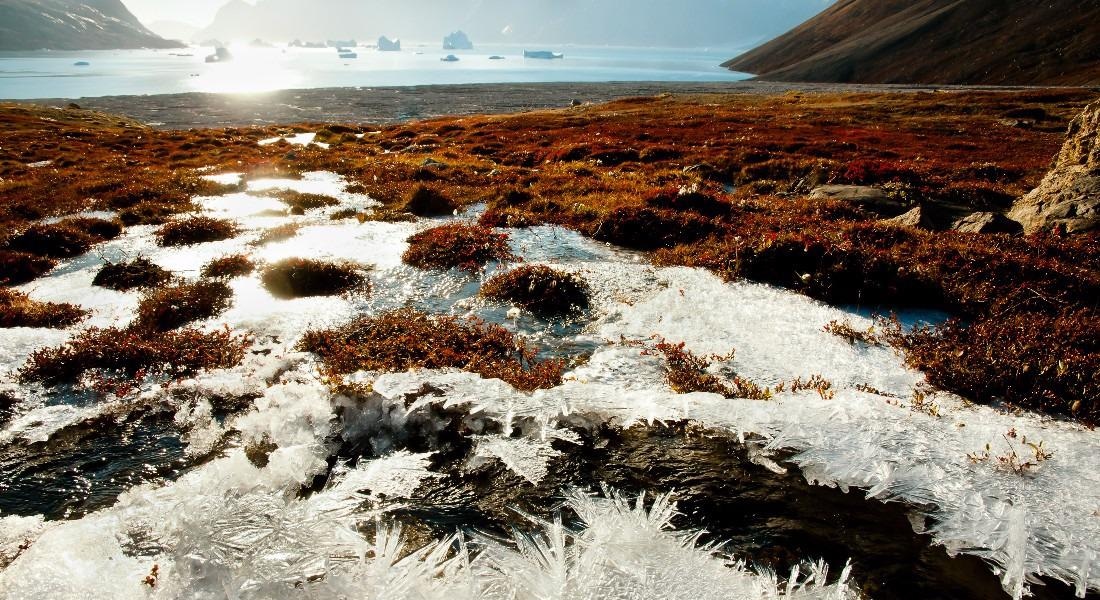 Thawing of Arctic permafrost may release cancer-causing gas: Study