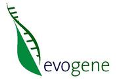 Evogene to Form New Company to Develop Advanced Biofuel Feedstock