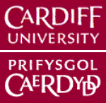 Researchers Develop Catalyst to Recycle Waste and Increase Biodiesel Production