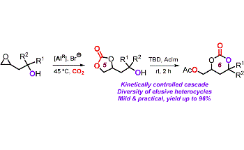 Novel Catalytic Process for Converting CO2 into Valuable Chemicals