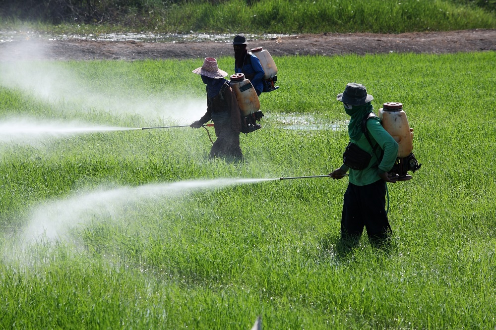 Agricultural chemicals store